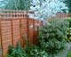 Panel fence and Trellis
