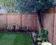 Exec panels and trellis