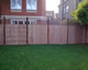 Exec panels and trellis
