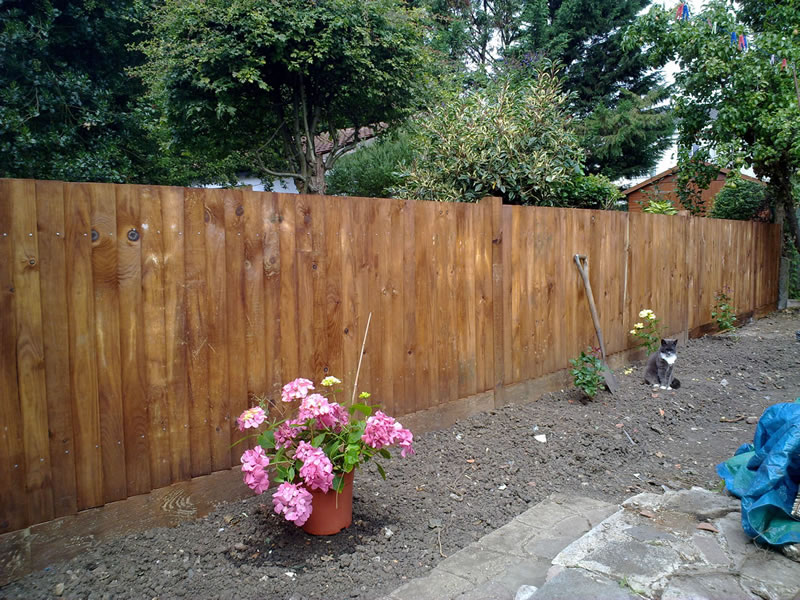Featheredge fence